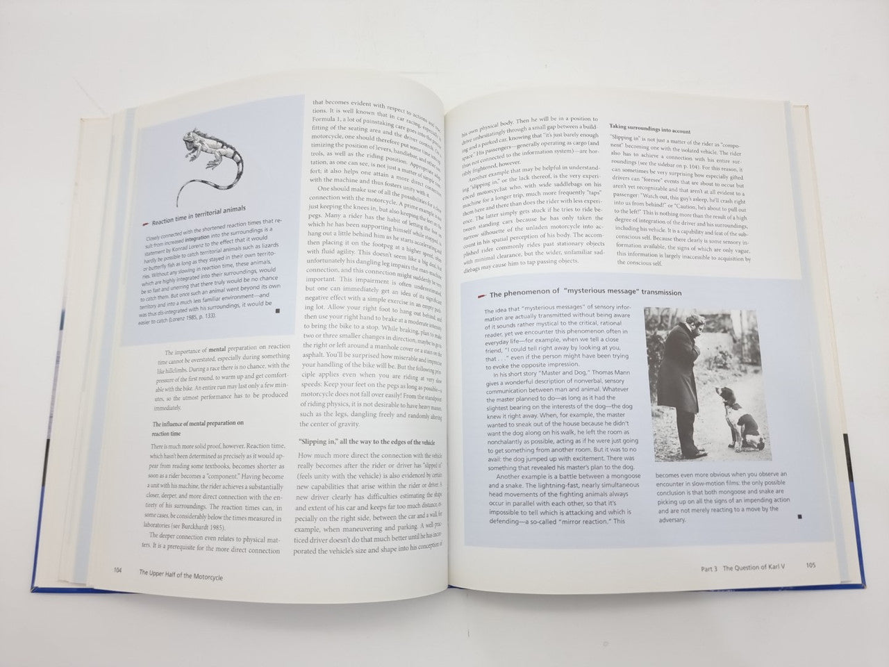Open book spread with an illustration sketch and a small photo inset on right page