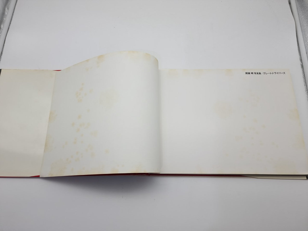 Hardcover book open to two cream pages with faint header text