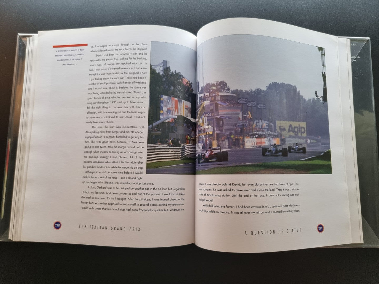 Damon Hill's Grand Prix Year - The Inside Story of a Formula One Season