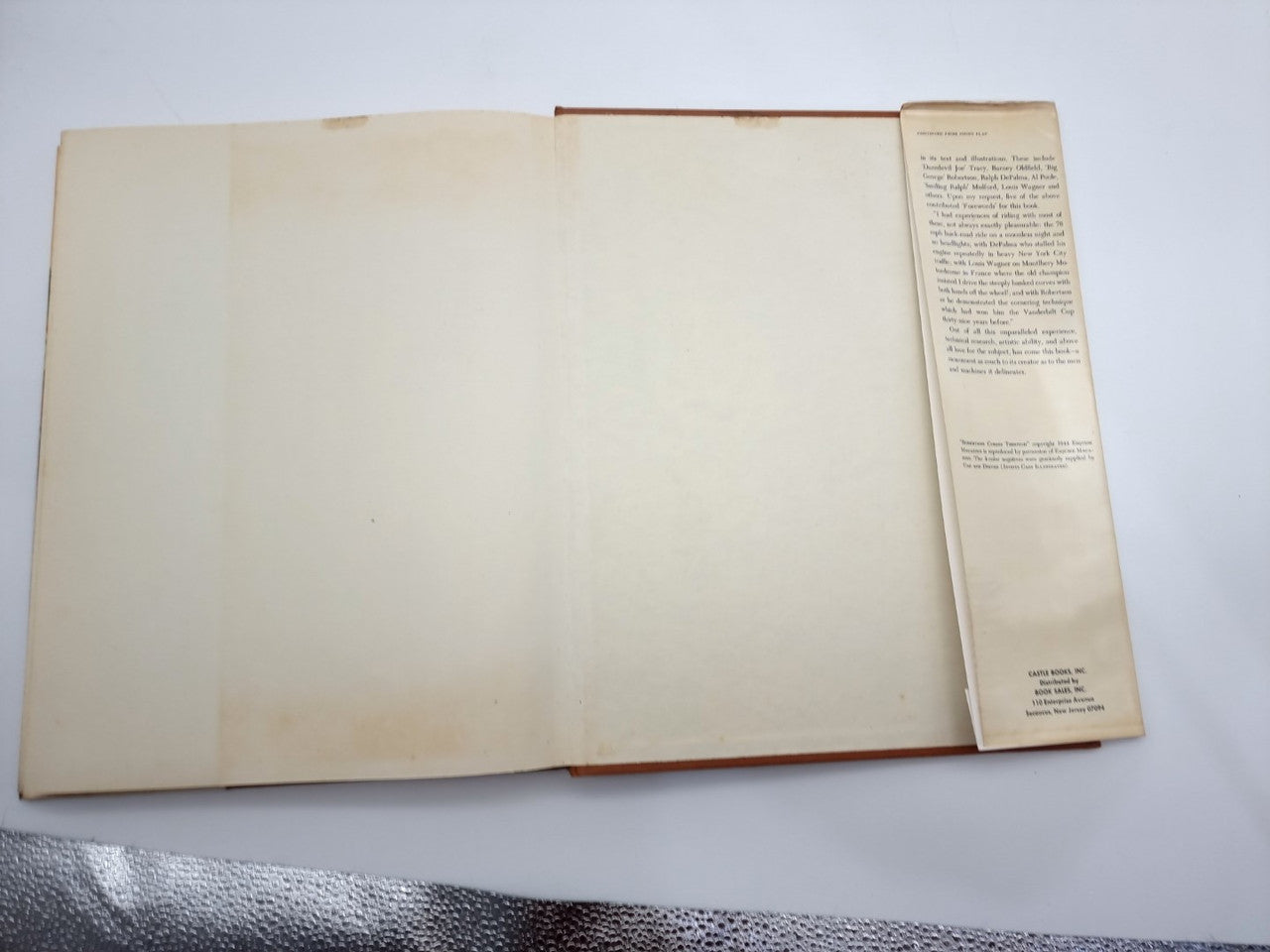 The Checkered Flag (Peter Helck)