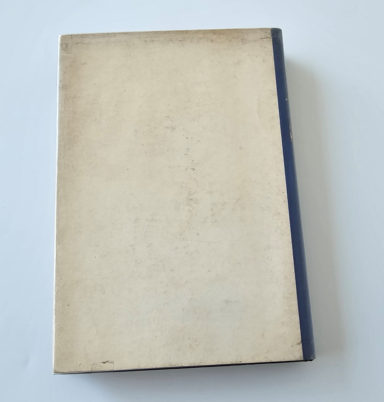 Chasing Victory book back cover in beige with a blue border