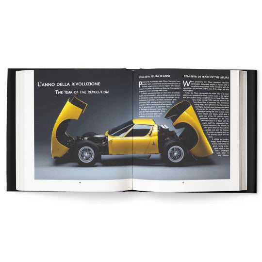 Automobili Lamborghini - Speed and Colour From 1963 today (D Buzzonetti) (9788877921505)