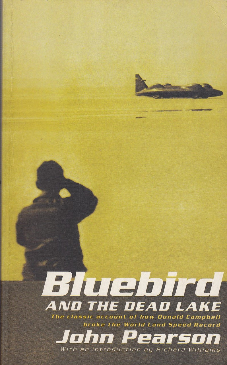 Paperback book front cover with plane illustration and title Bluebird and the Dead Lake