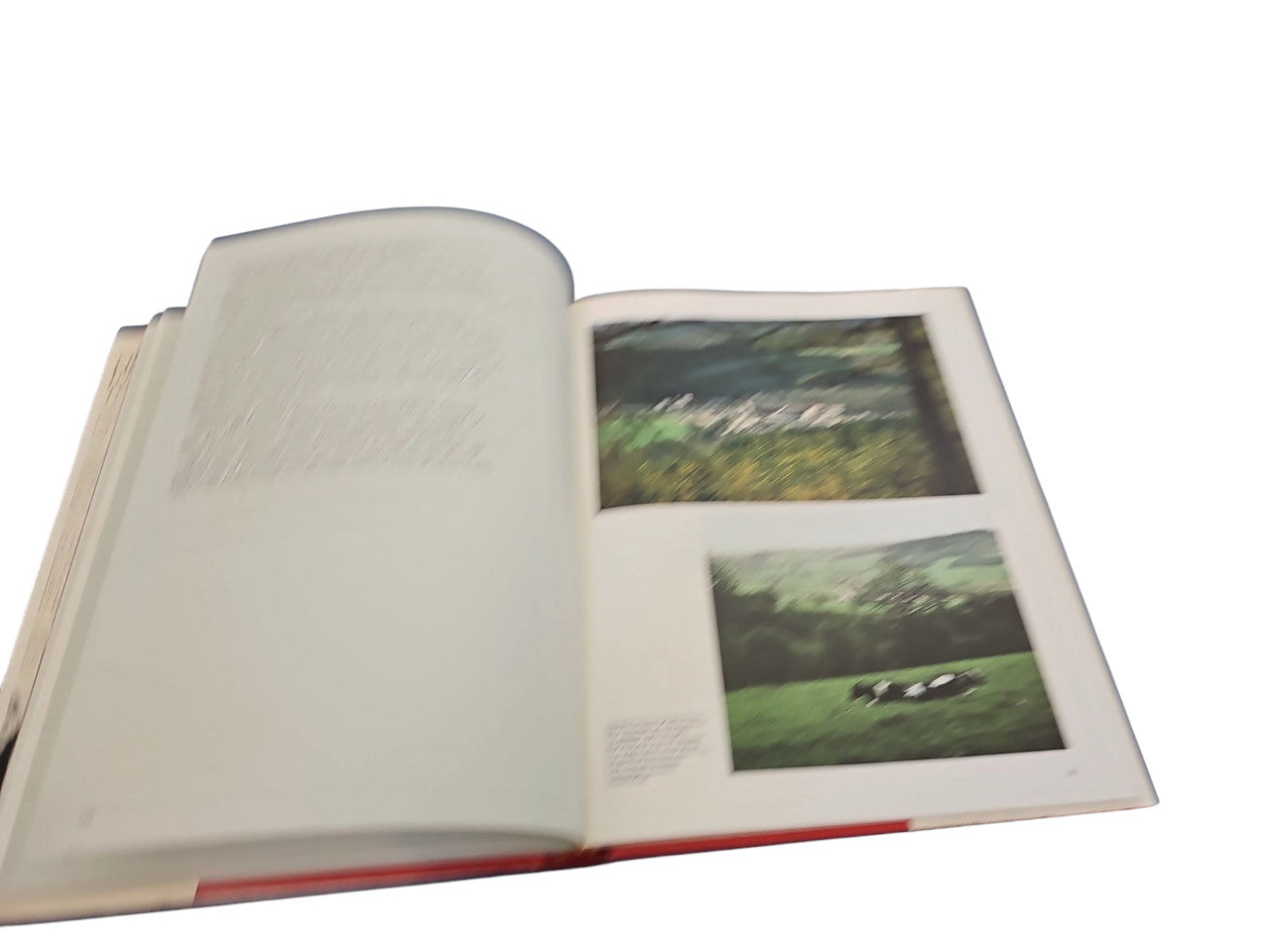 Open book pages with mostly blank text and two color landscape photos