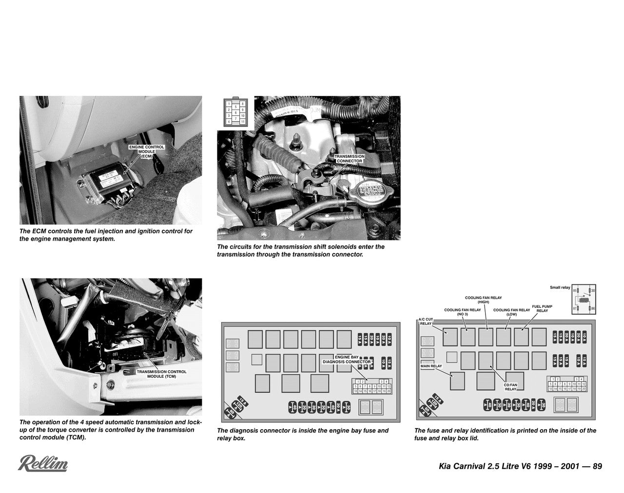 Rellim Wiring Diagrams volume 5 (RERW5, 9781876953478)